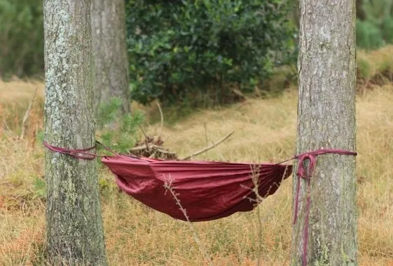 DD Camping Hammock maroon red by DD Hammocks MA-02115 color rot
