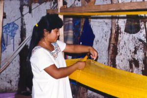 Sophie Baumwoll Hängematte Sophie Baumwoll Hängematte